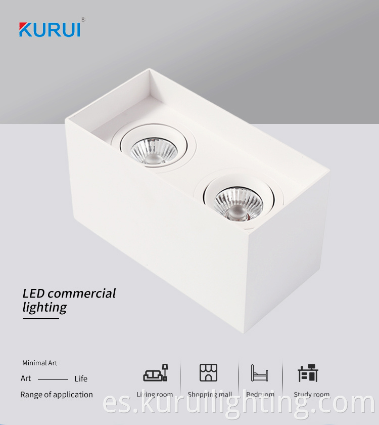 Dual-head Adjustable LED Downlight